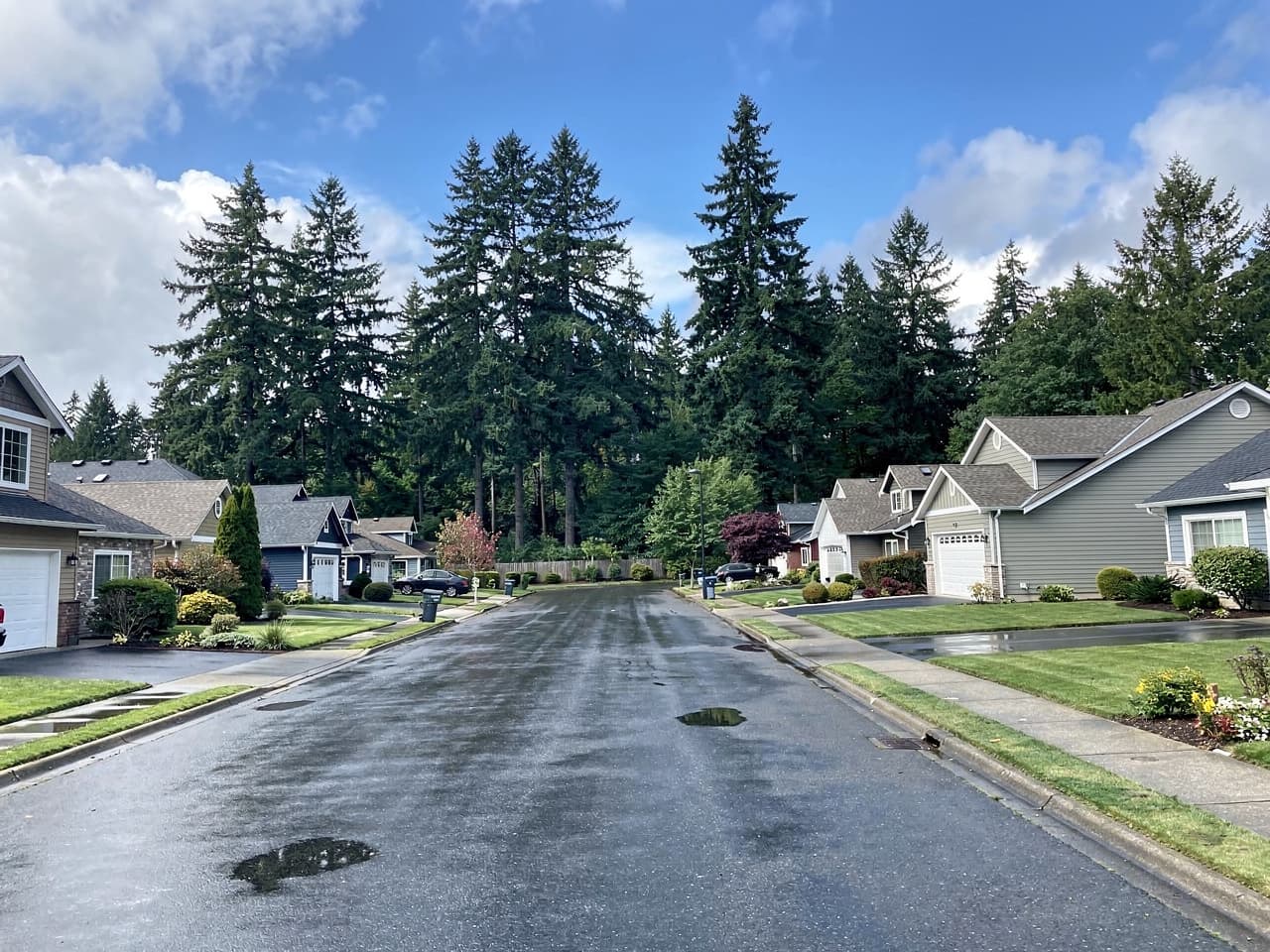 A quiet Pacific Northwest neighborhood street after the rain