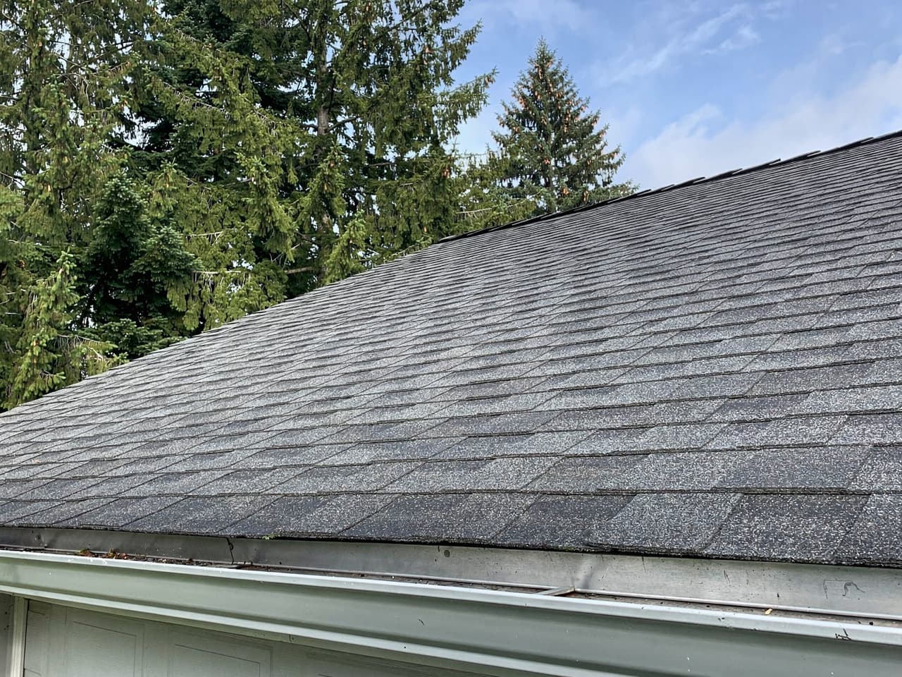 Asphalt Shingle Roof Cleaning by Brisk Roof & Gutter Cleaning