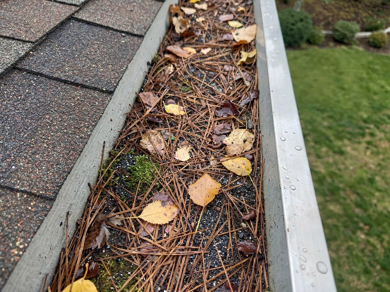 Gutter Cleaning results by Brisk Roof & Gutter Cleaning in the Portland–Vancouver metro