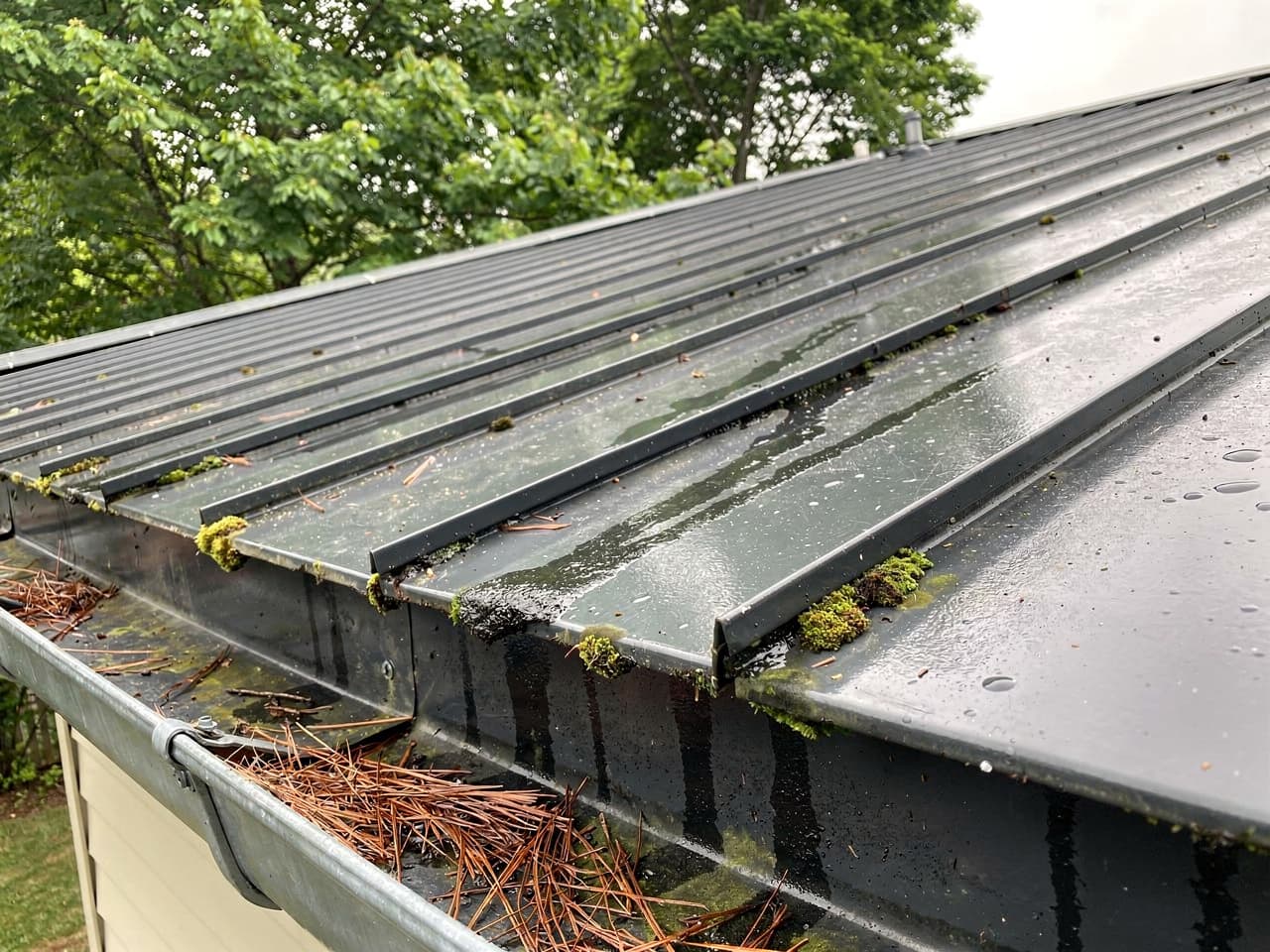 Metal Roof Cleaning results by Brisk Roof & Gutter Cleaning in the Portland–Vancouver metro